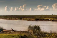LA-OTRA-ORILLA-PARANA-2015