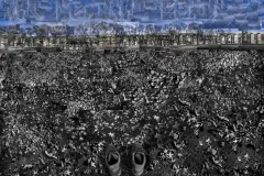 10-DEFORESTACION-sin-TV-MODIFICADAcalzado