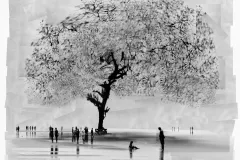 15-AMAZONIA-EL-ULTIMO-ARBOL