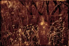 100X145-SUENO-2-cinestill-soft-w