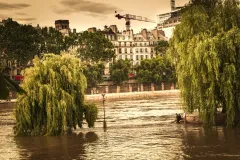 inundacion-en-el-sena-la-cite